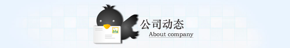 公司动态